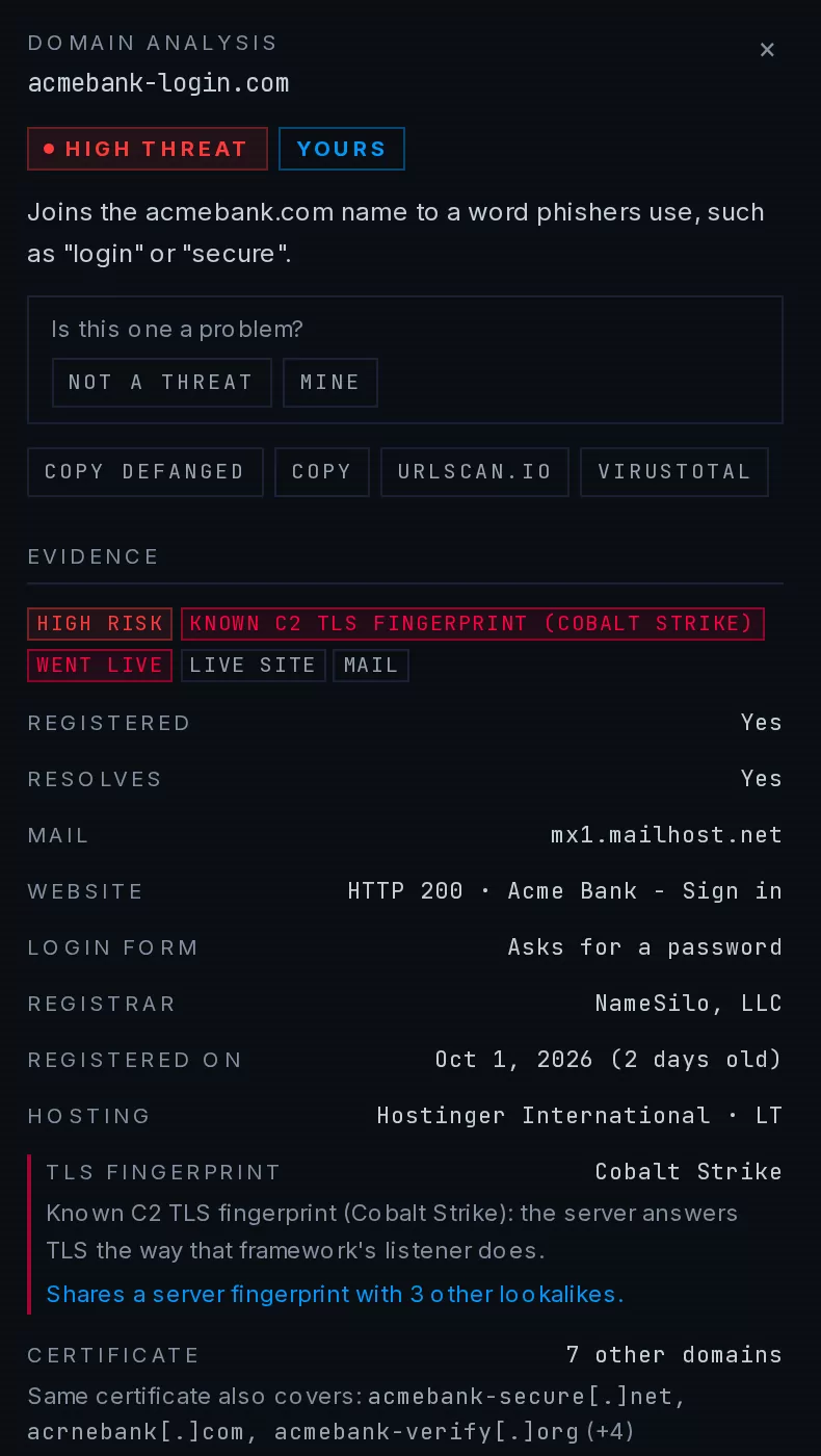 The detail drawer for one finding: website, login form, registrar, hosting, TLS fingerprint, certificate siblings and takedown stages.